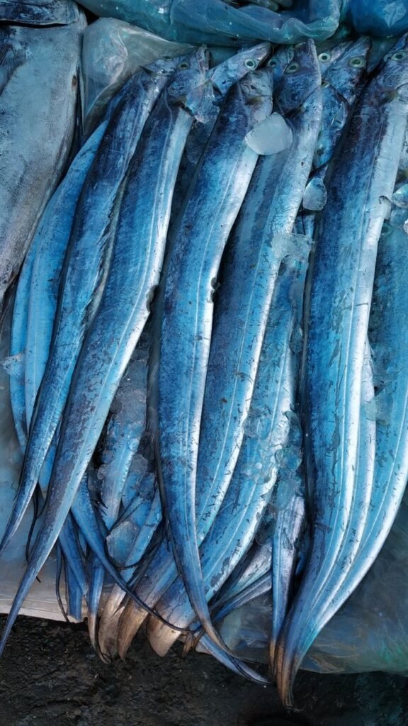 Uppu Savadalu ( Salted Dry Fish)