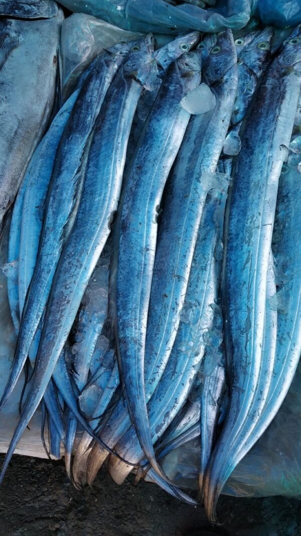 Uppu Savadalu ( Salted Dry Fish)