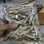 Natural Dried Nethallu